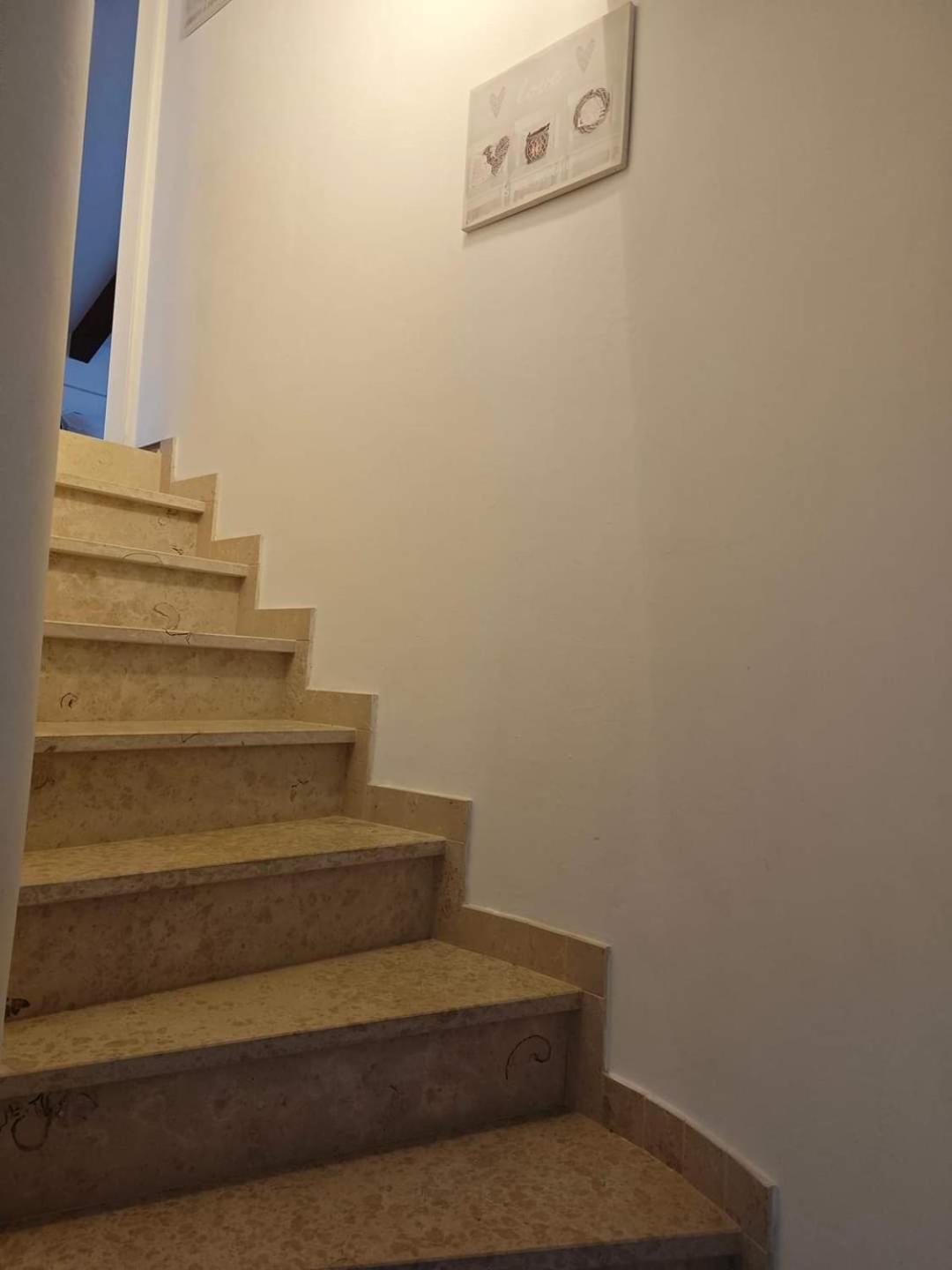 Apartment Arta Водице Экстерьер фото