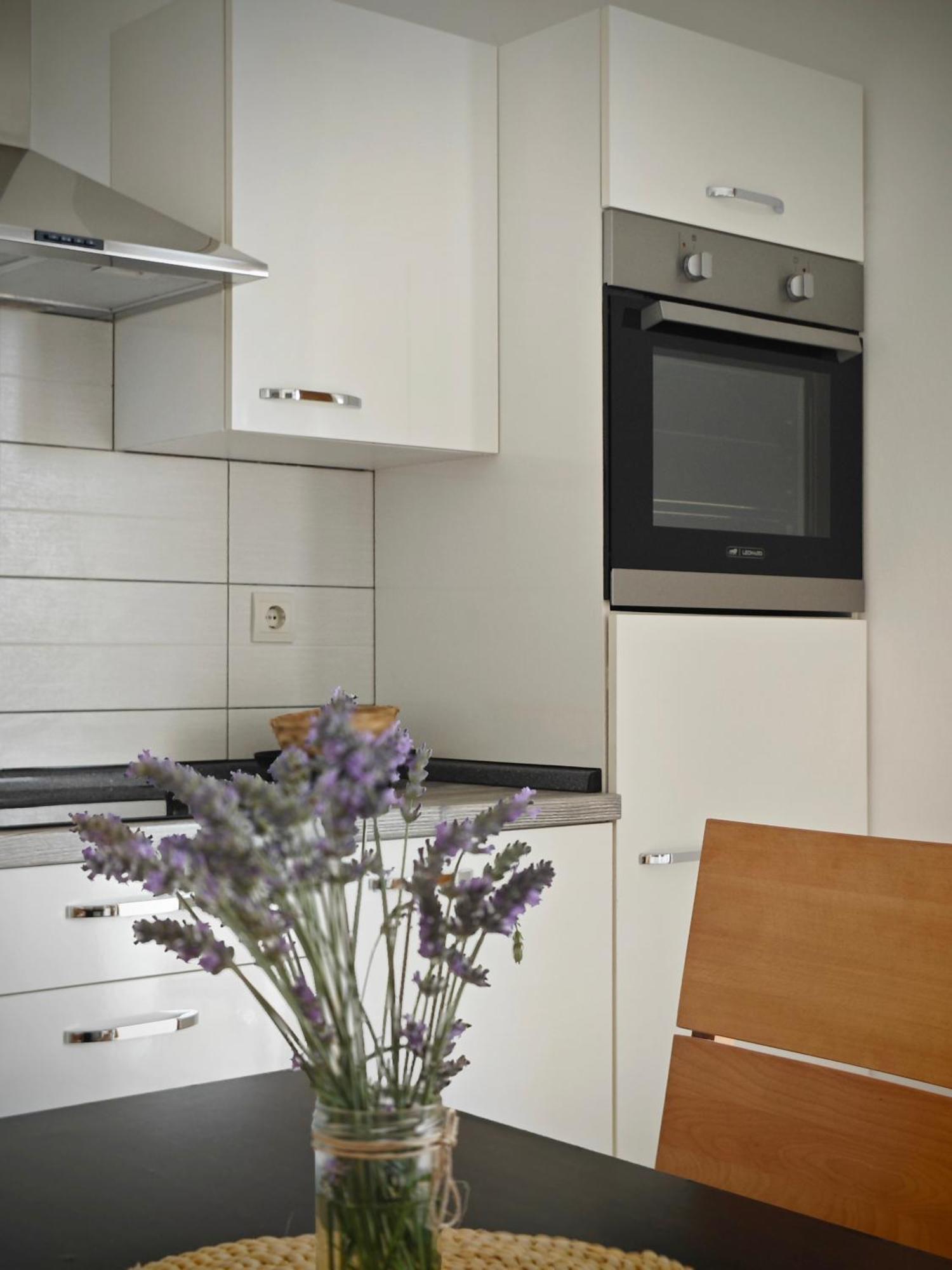 Apartment Arta Водице Экстерьер фото