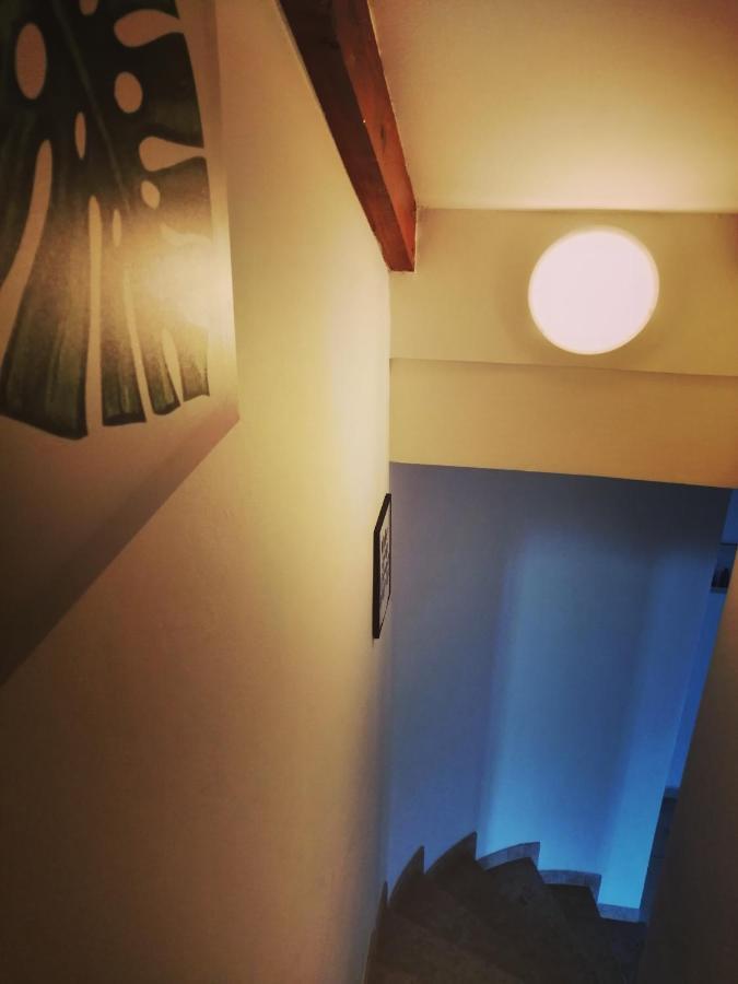 Apartment Arta Водице Экстерьер фото